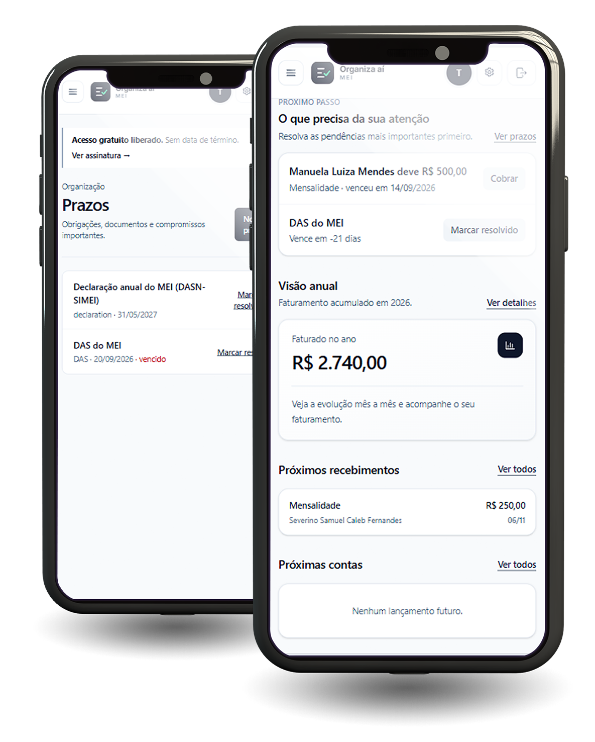 Imagem dos recursos do Organizaai MEI